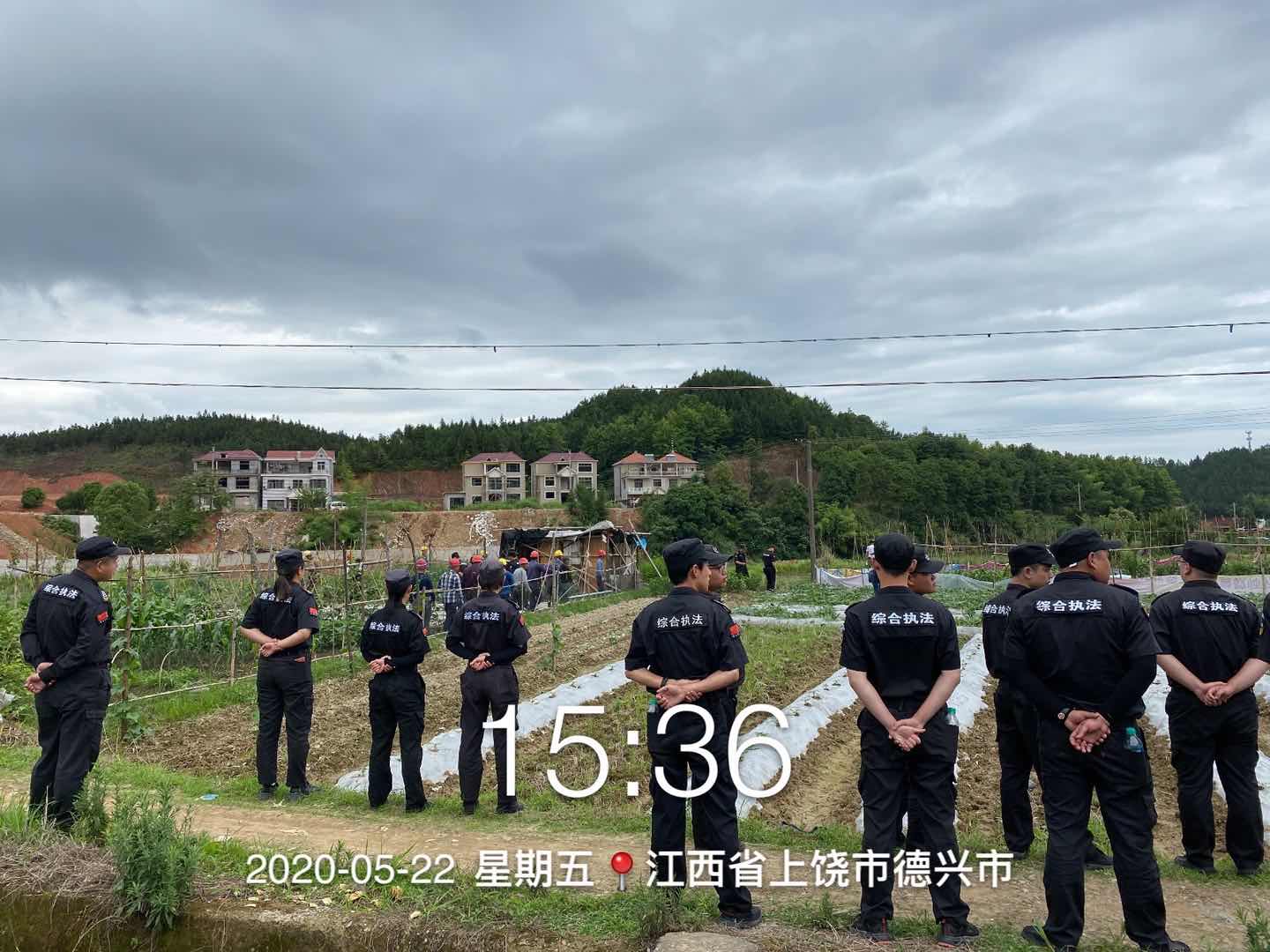 德兴·里脊坞菜棚拆除中维稳